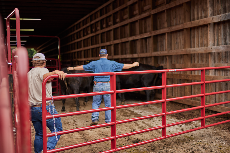 GT Tarter 2" HD Gate w/Hinges