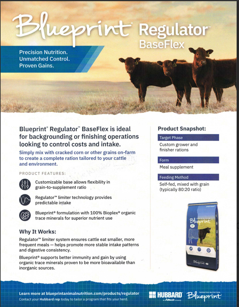 Blueprint Regulator Baseflex MON150