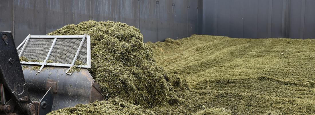 Keep Your Forage Fresher, Longer with BULLETPROOF® Forage Preservatives