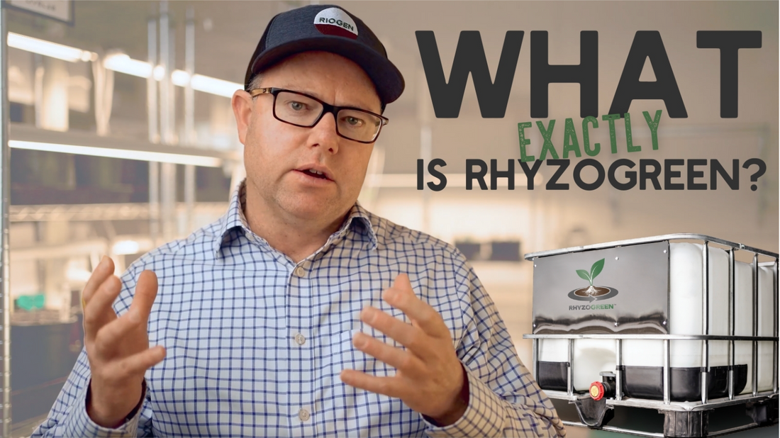 What Is Rhyzogreen? A Practical Guide for Producers