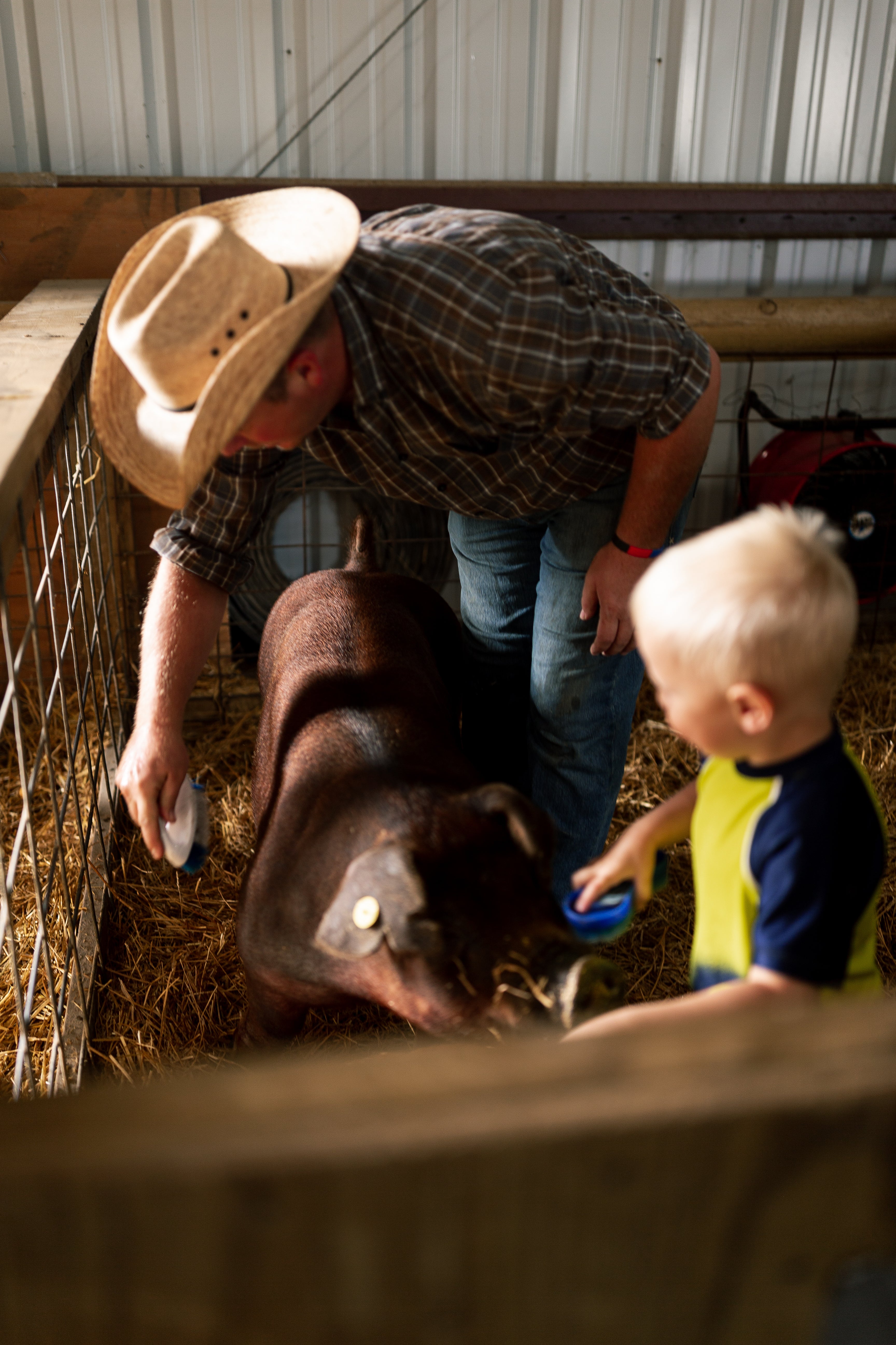 Animal Health