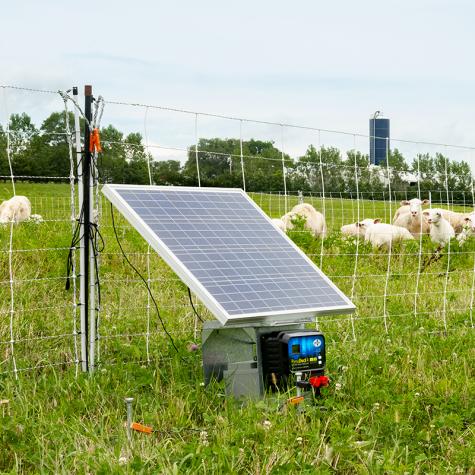 Solar Panels w/10 Amp Regulator