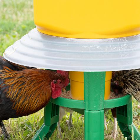 Kubic Poultry Feeder Rain Shield - 540061