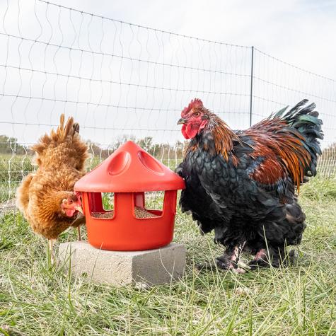 Chicken Grit Station - 540045