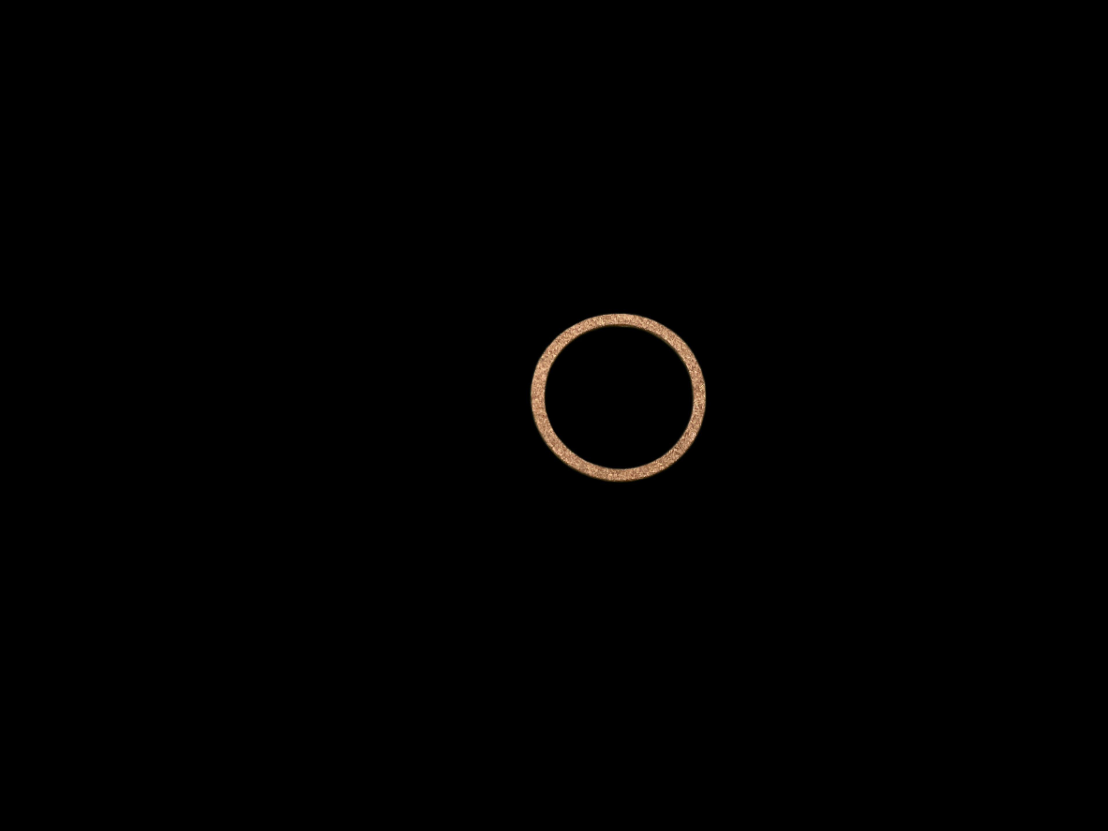 Ritchie 3/4" Gasket - 18397