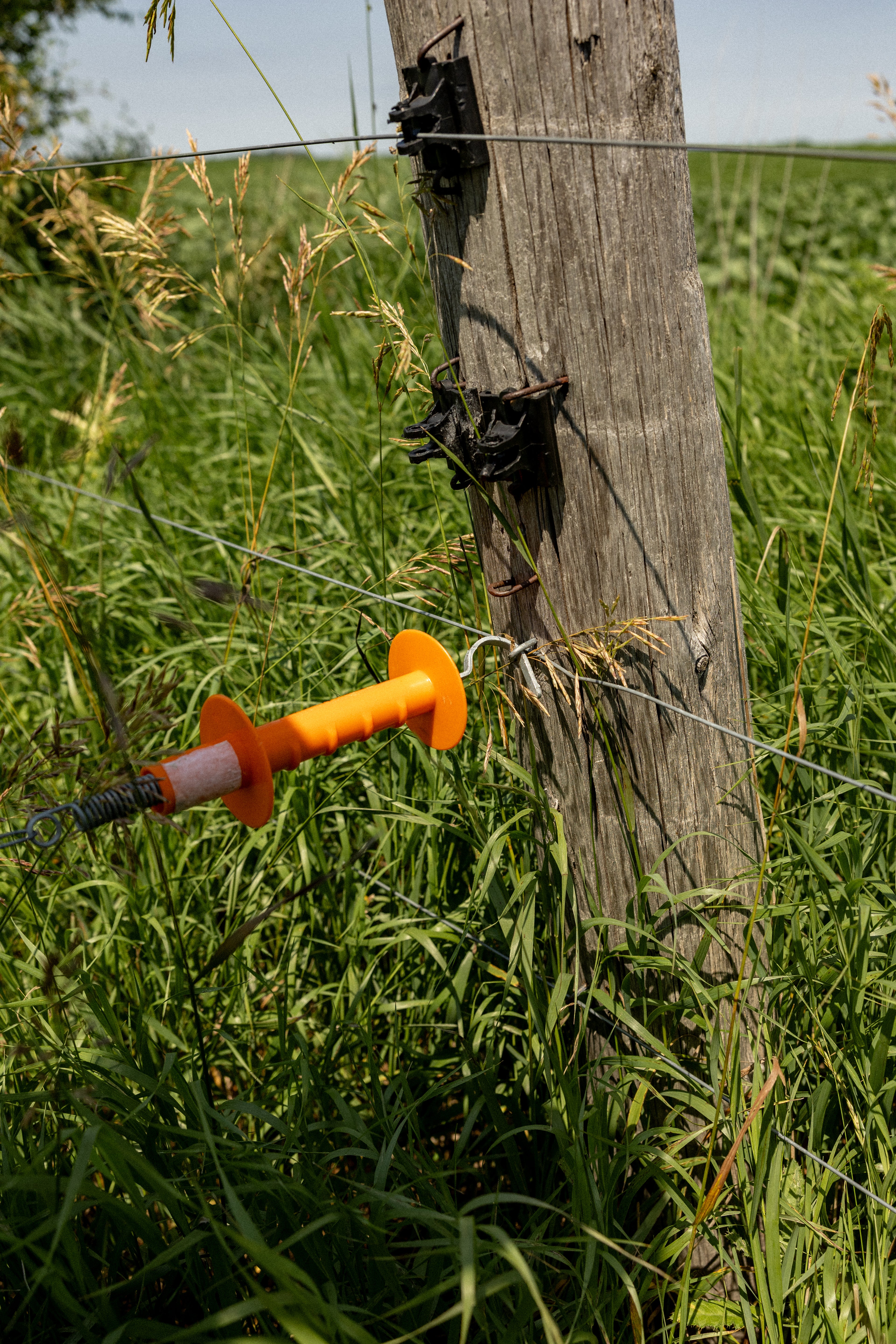 Gallagher HD Gate Handle - G63930