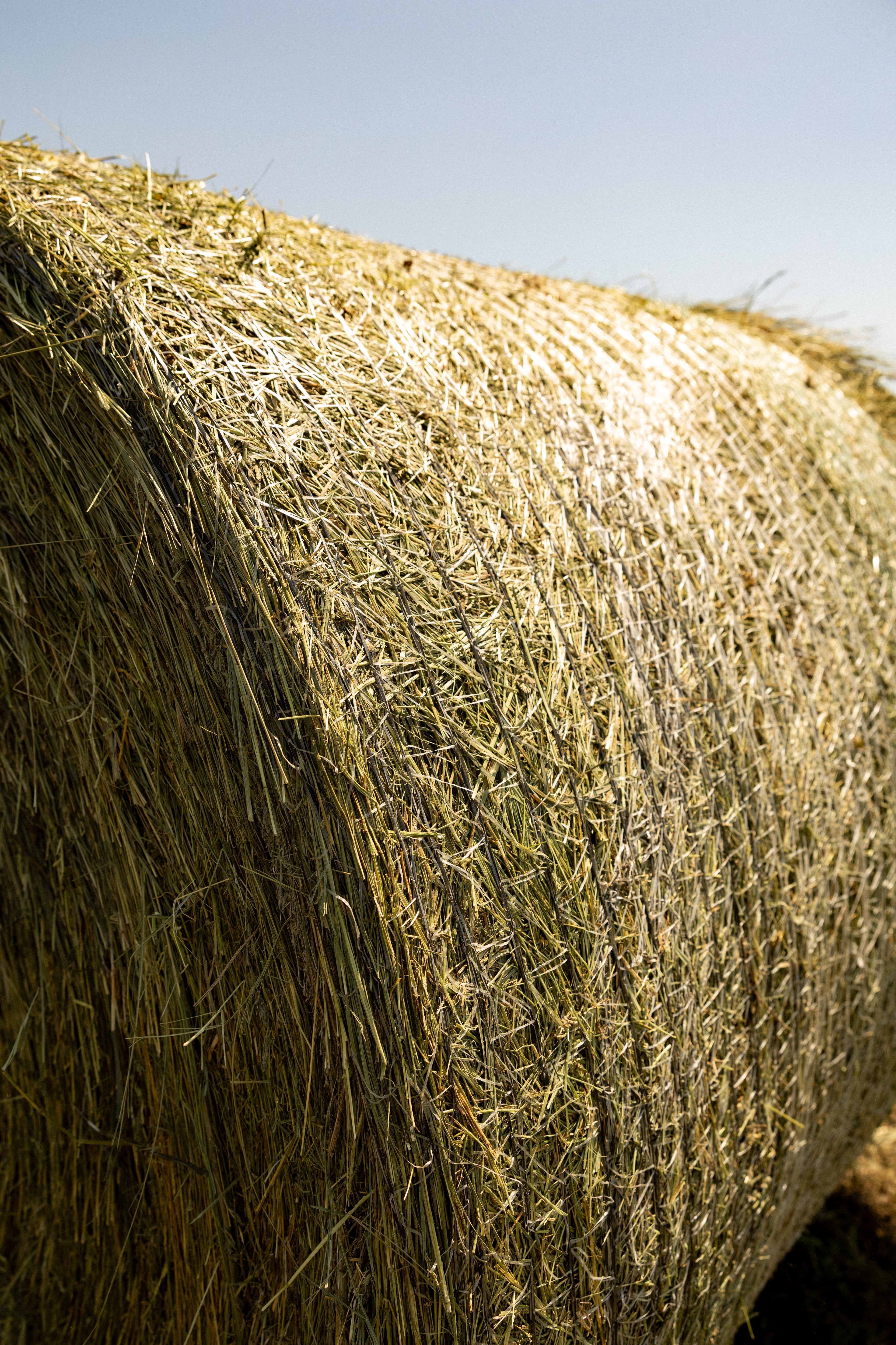 Net Wrap - 64" x 7000/ Netagri