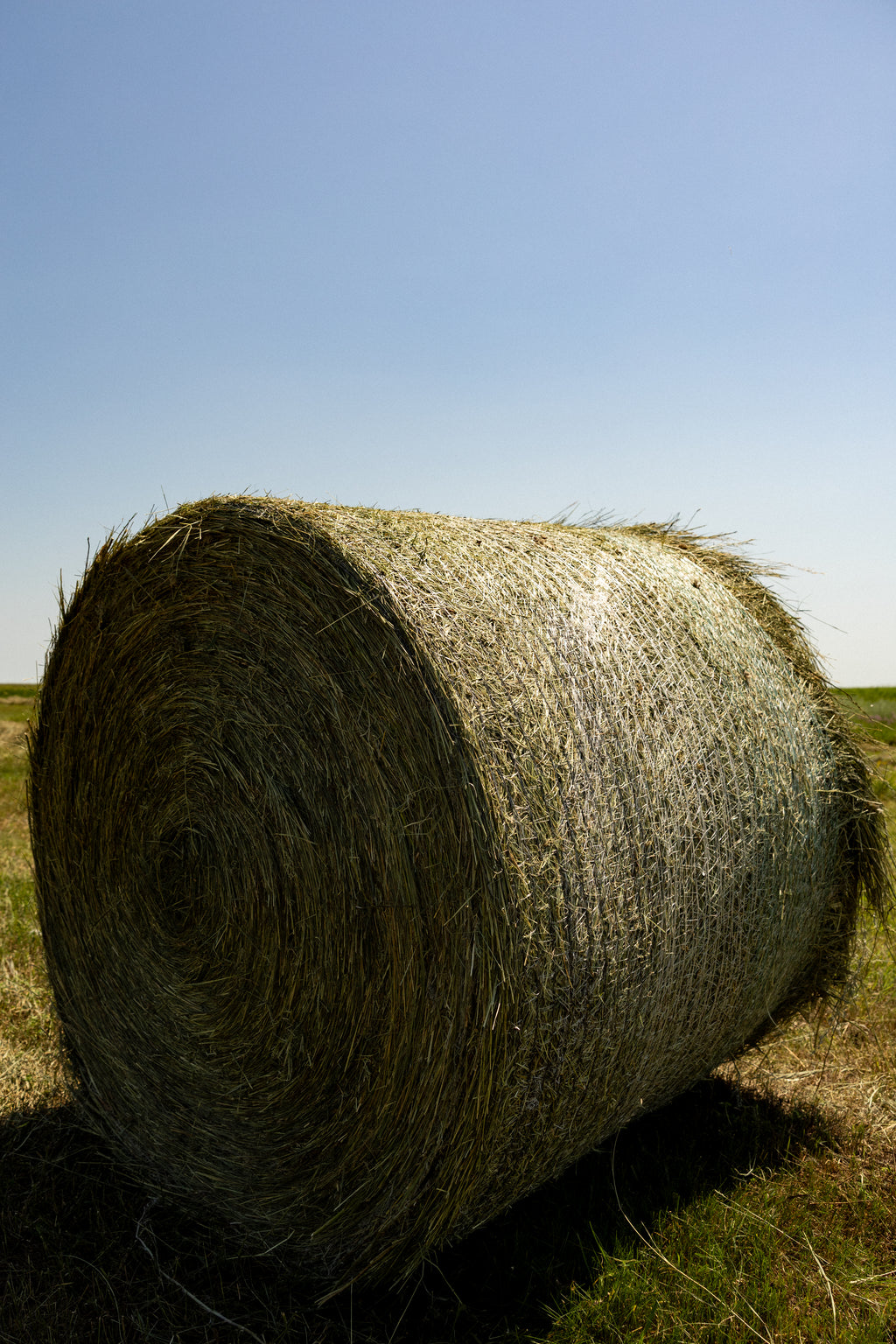 Net Wrap - 64" x 7000/ Netagri