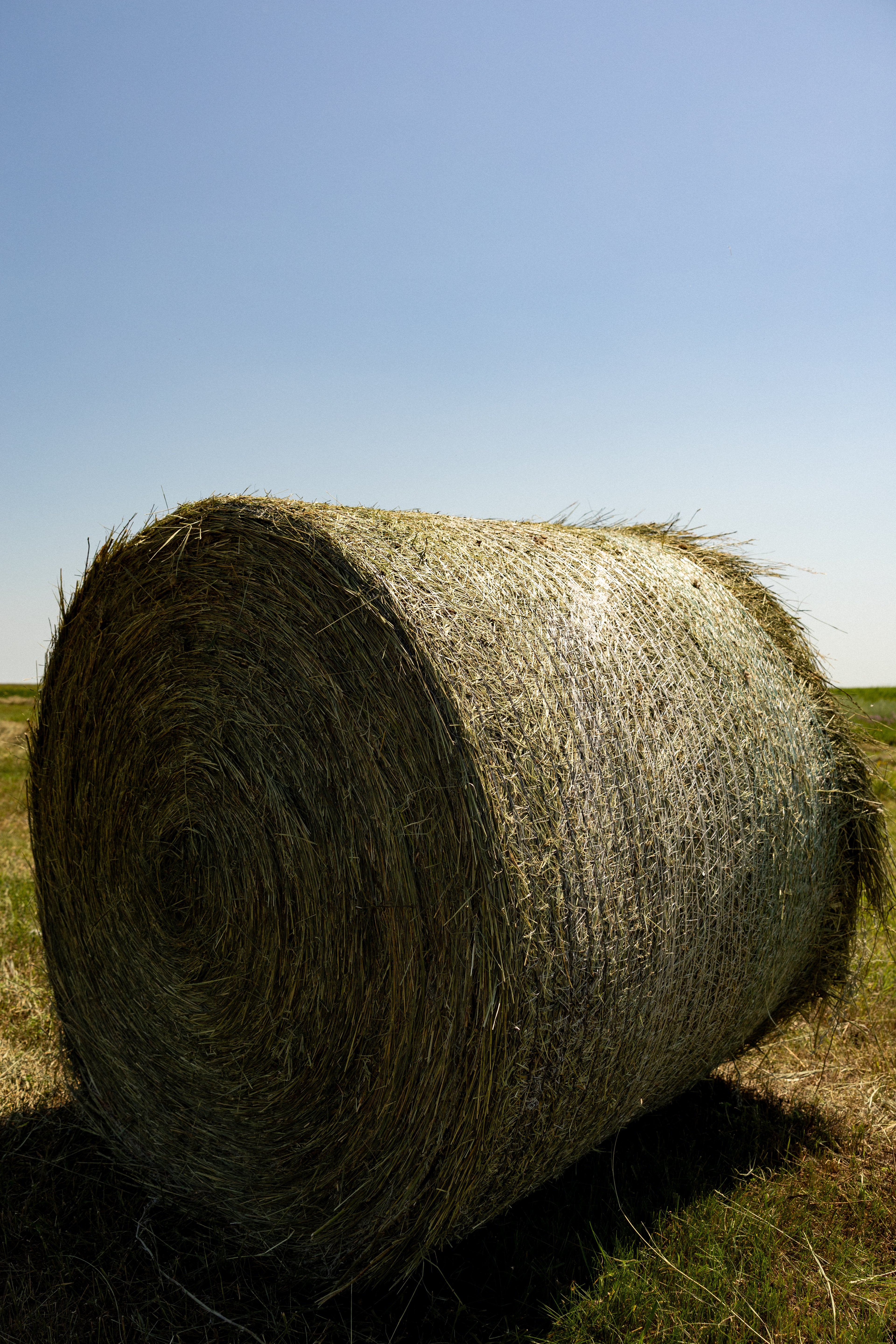 Net Wrap - 64" x 7000/ Netagri