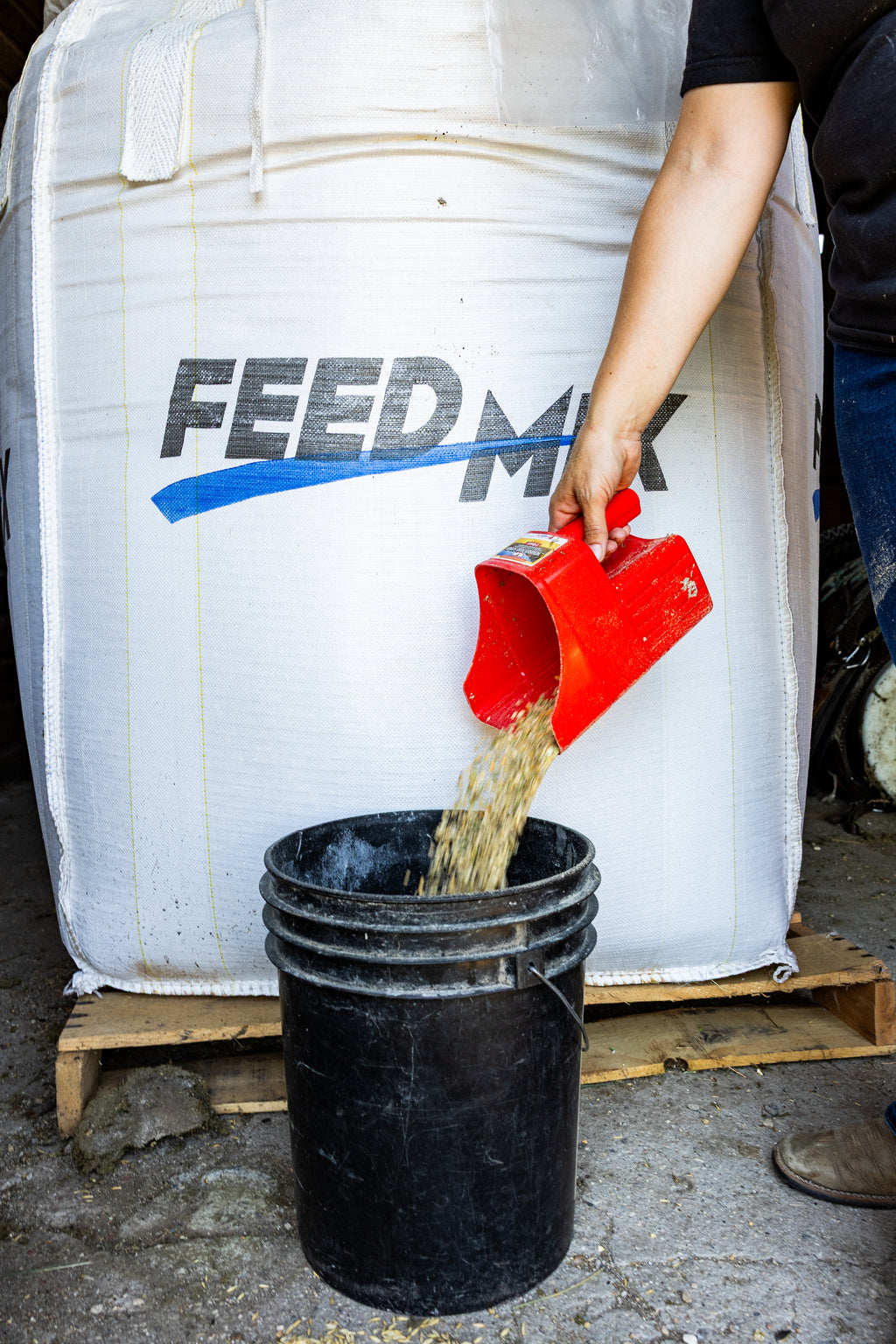 Little Giant Feed Scoop - 5 Pint