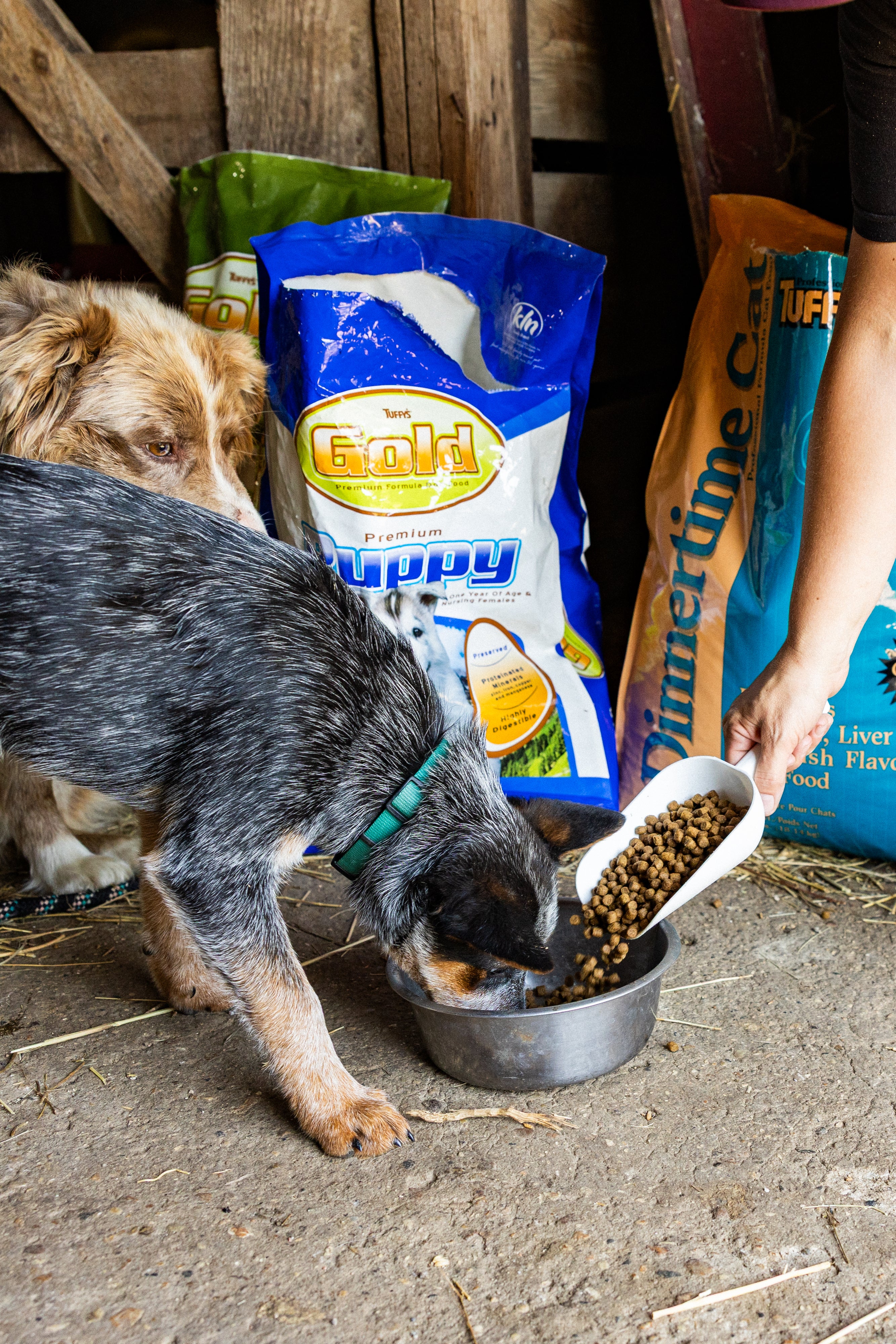 Tuffy's Gold Premium Puppy Food