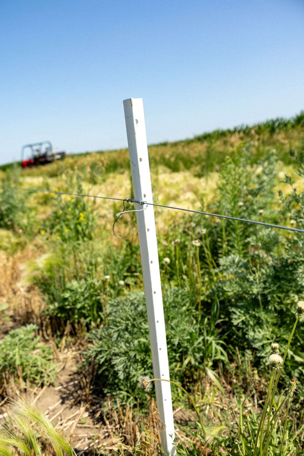 Timeless Fence System - Posts