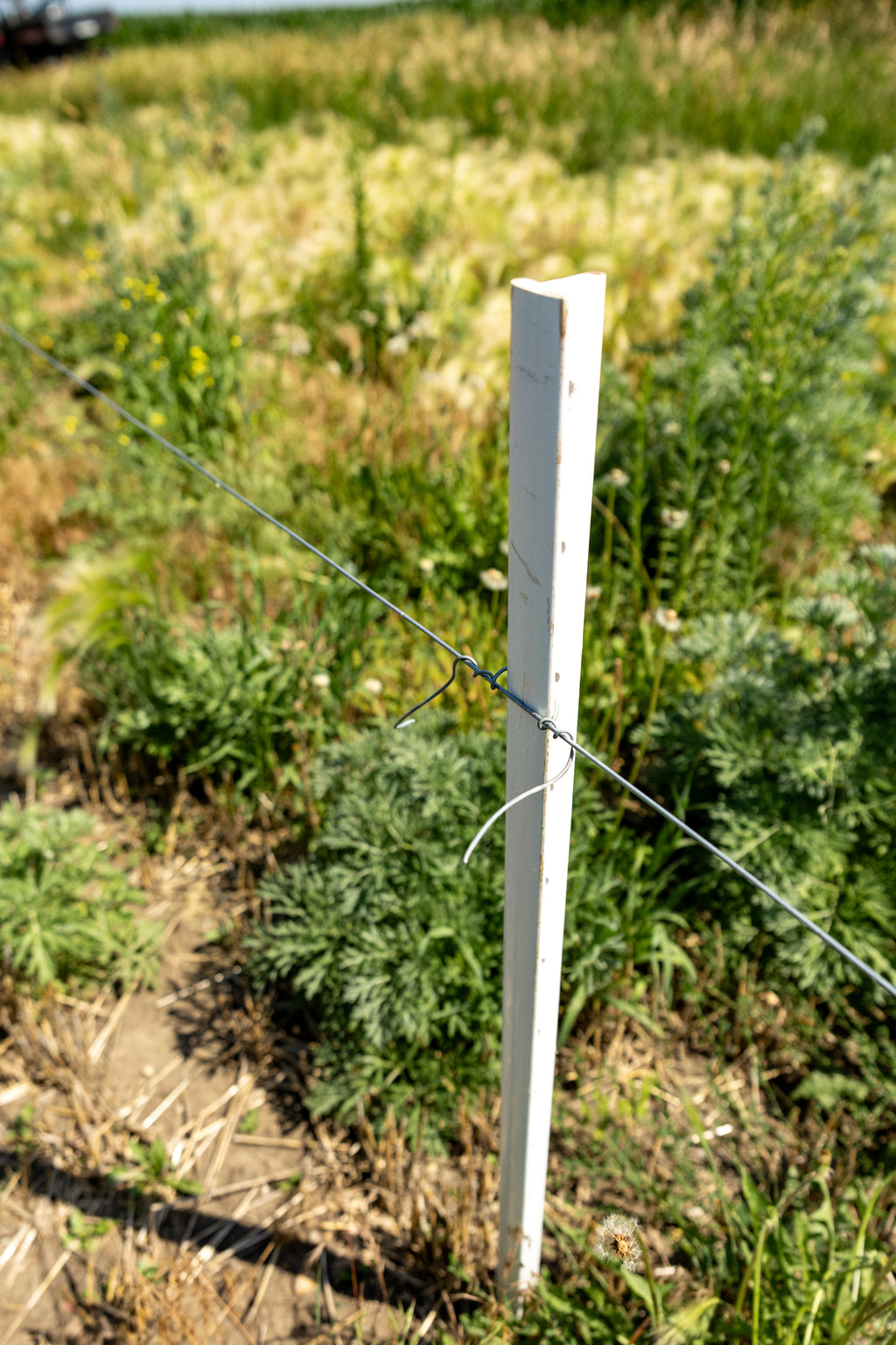 Timeless Fence System - Posts