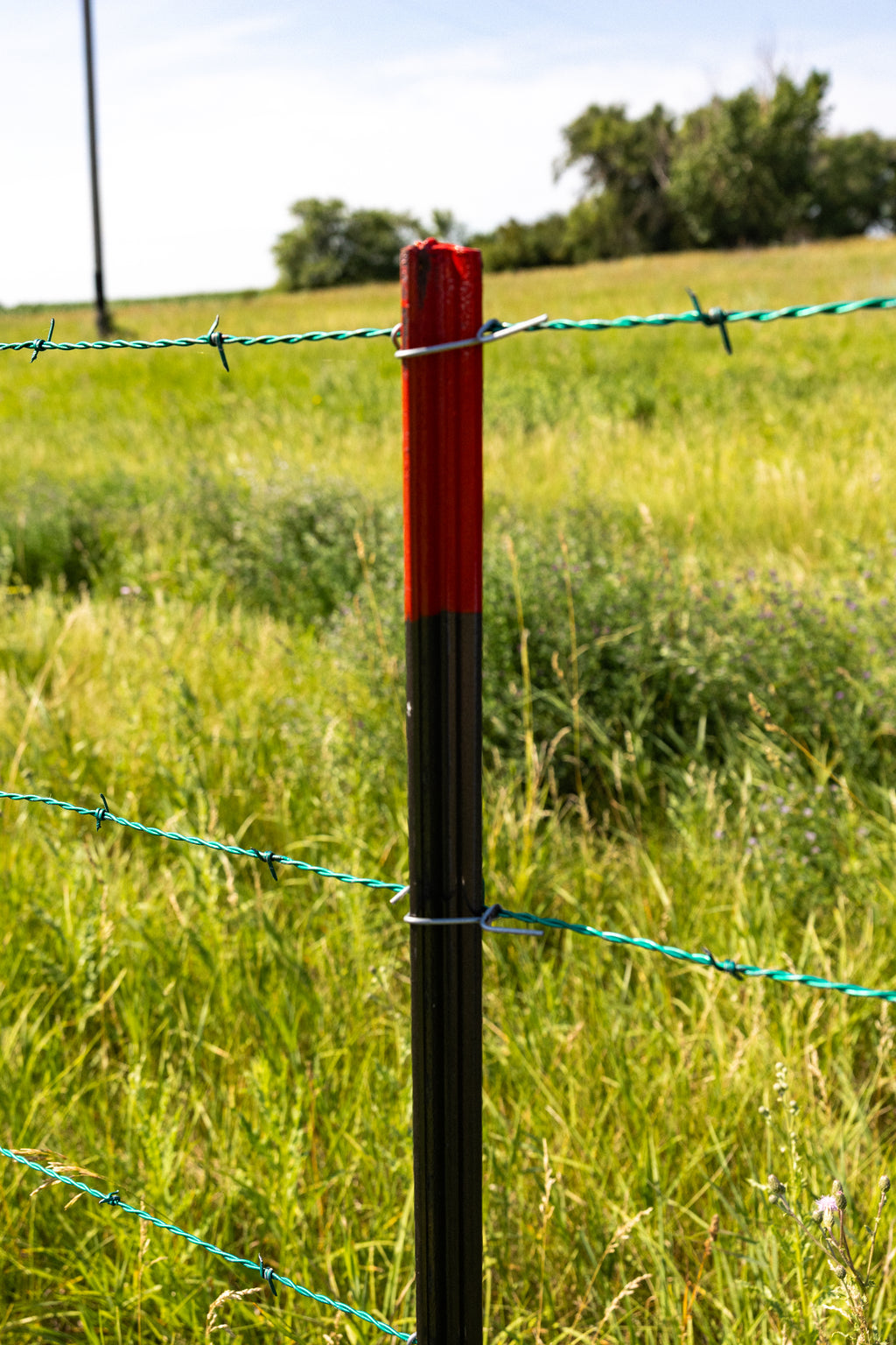 T-Posts  1.33 - Grey/Red