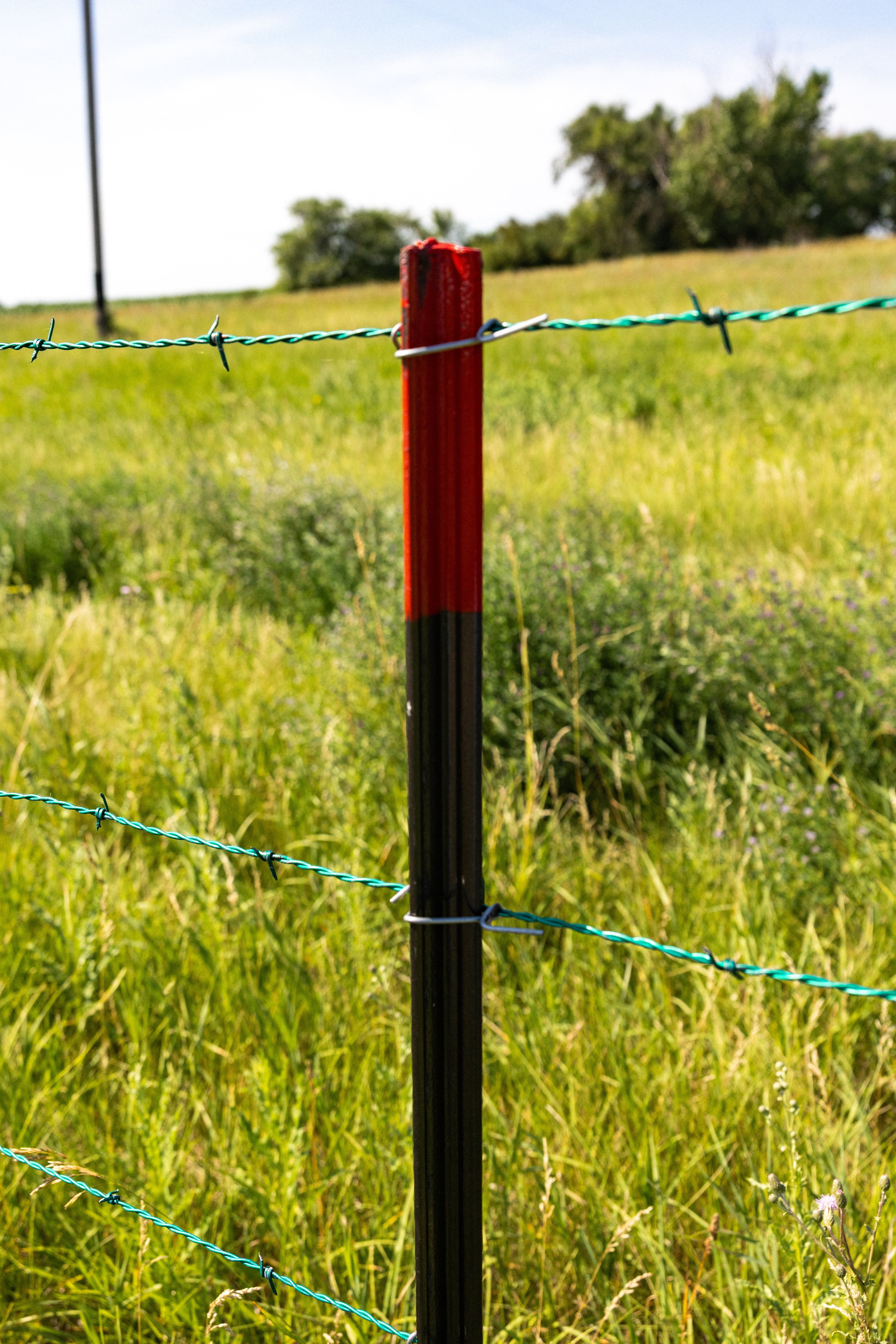 T-Posts  1.33 - Grey/Red