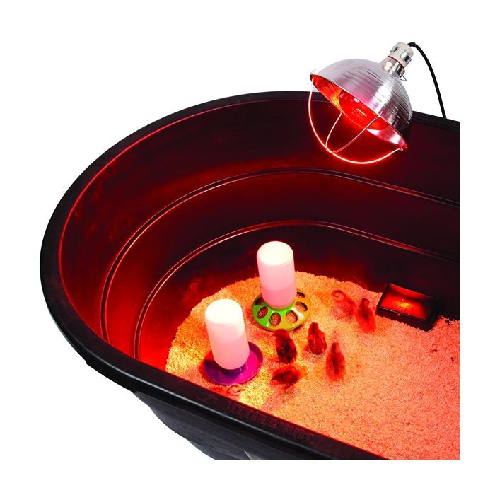 Little Giant Brooder Reflector Lamp