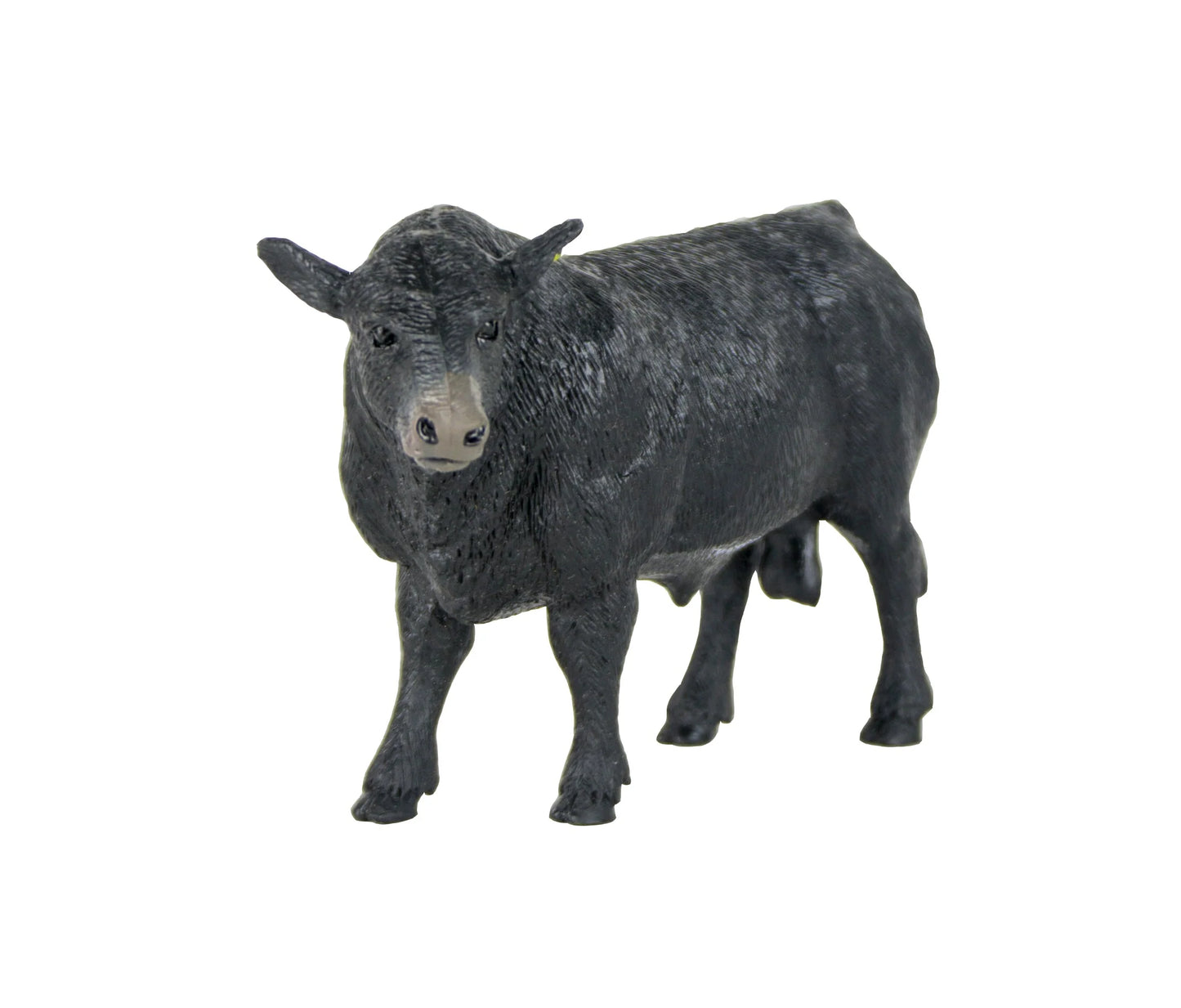 BC Angus Bull - #401