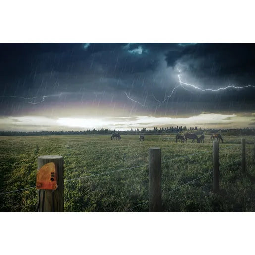 Gallagher Lightning Diverter - G64800