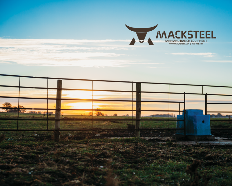 Macksteel Continuous Fence