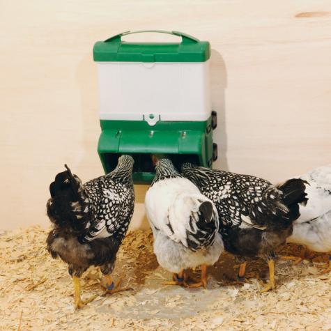 Wise Mountable Poultry Feeder - 20 lb - 540098