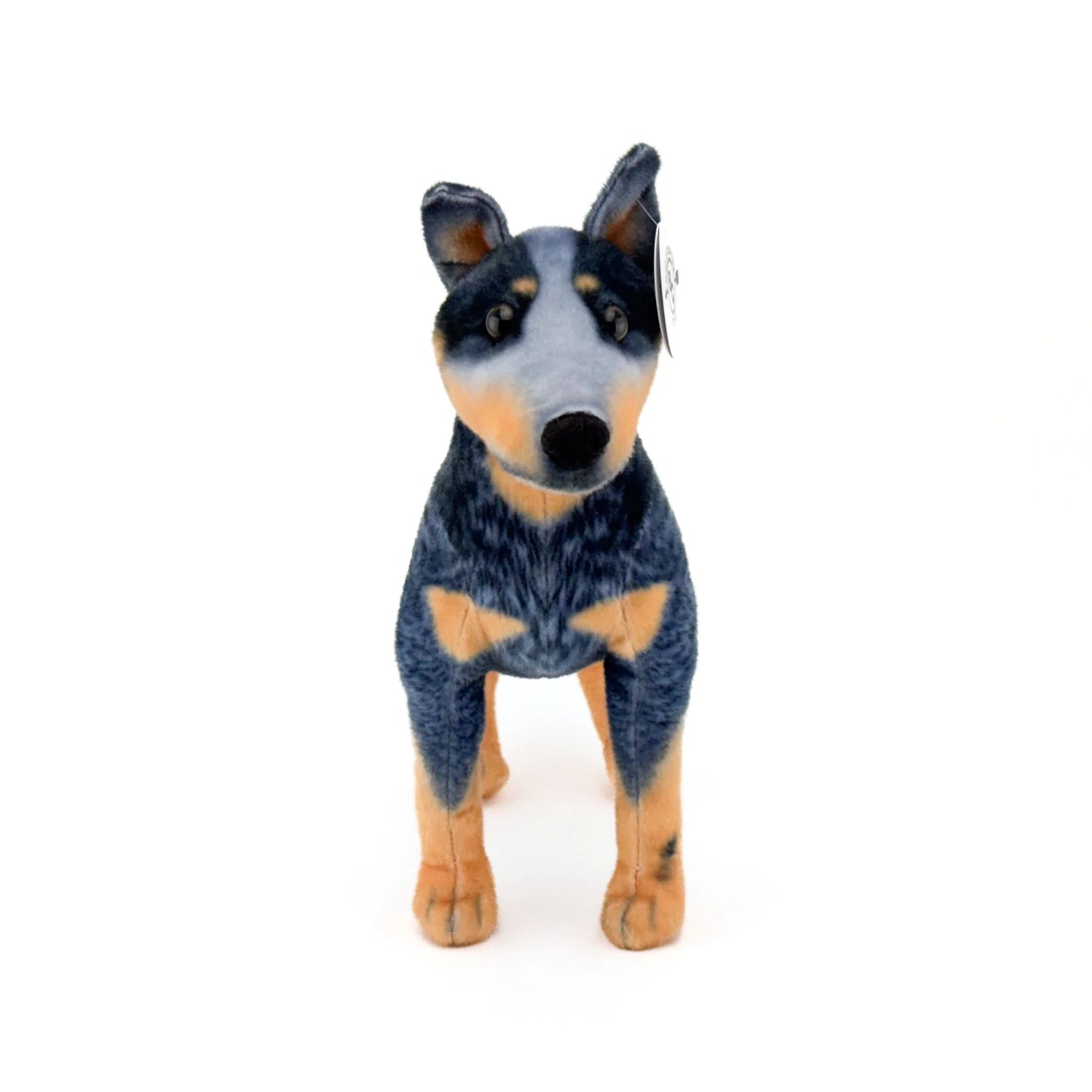 BC 14" Plush Blue Heeler - #BC601