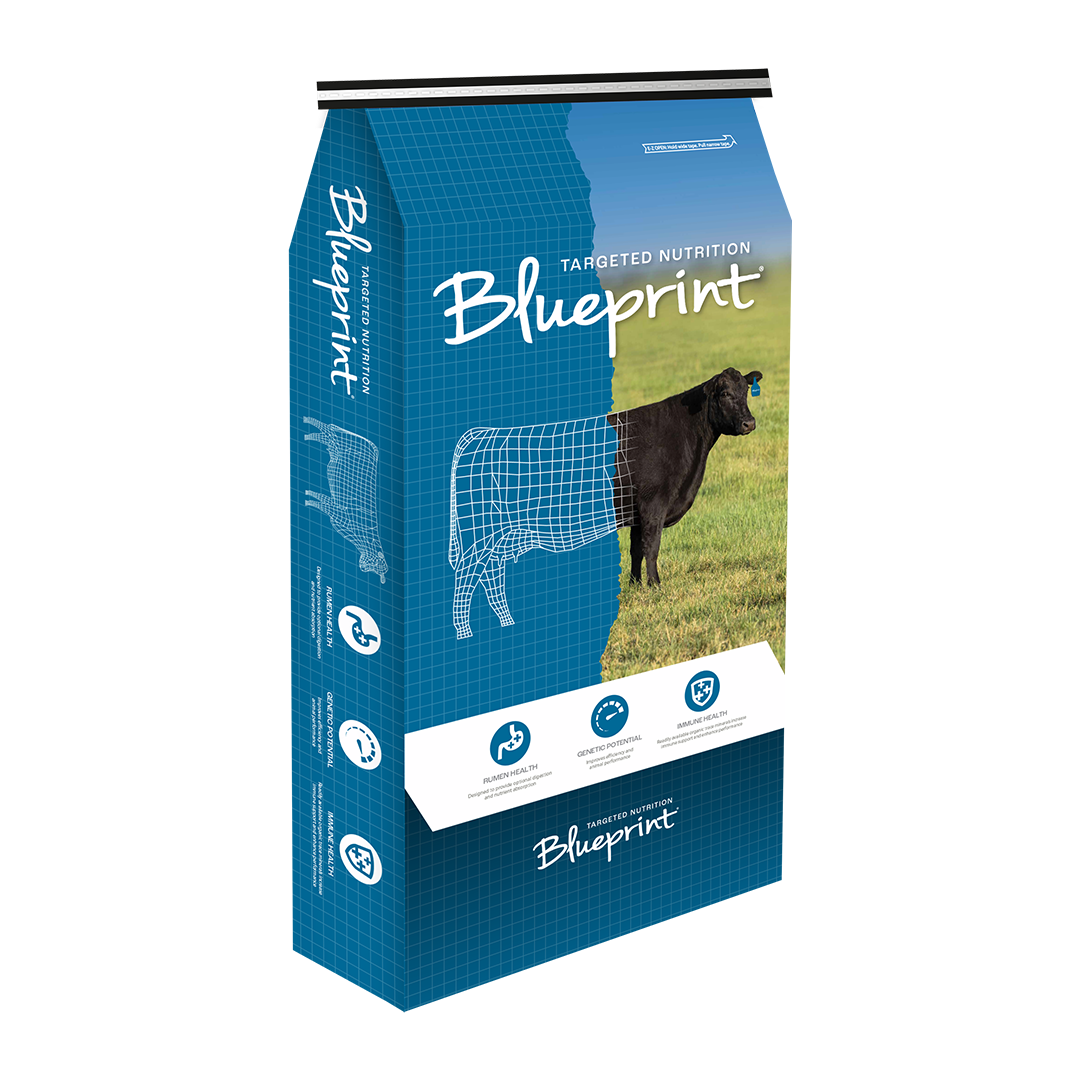 Blueprint Cow Calf 5 Mineral Coarse GAR