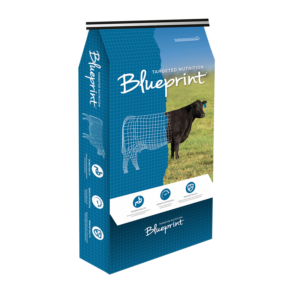 Blueprint Krunch Calf Starter D22.7