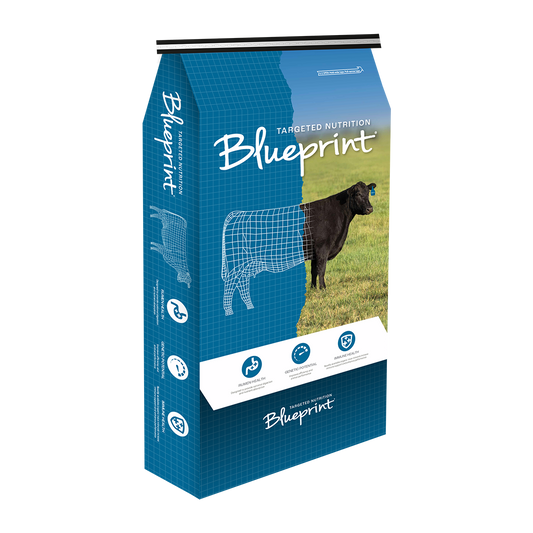 Blueprint 20/20 AM DX Milk Replacer