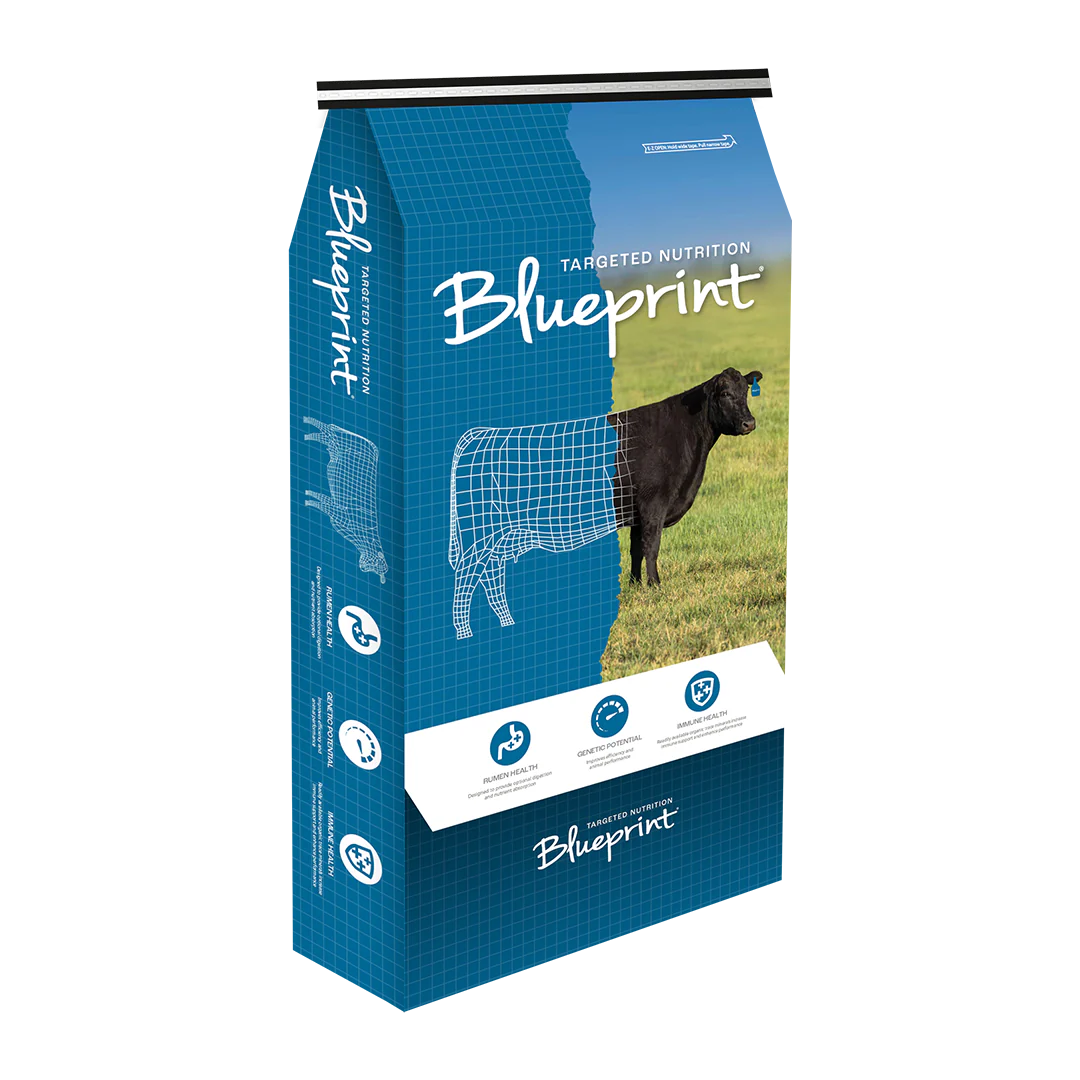 Blueprint Cow Calf 5 Clarify DBZ.04 Mineral