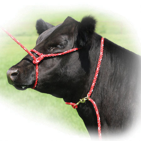 Sullivan Rope Halter