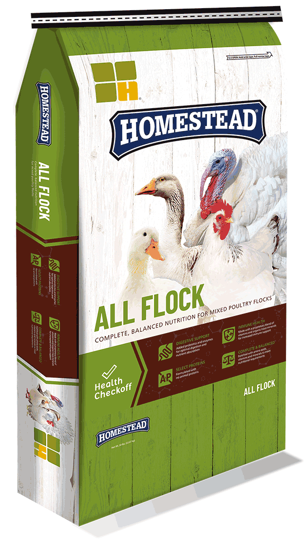 Homestead All Flock