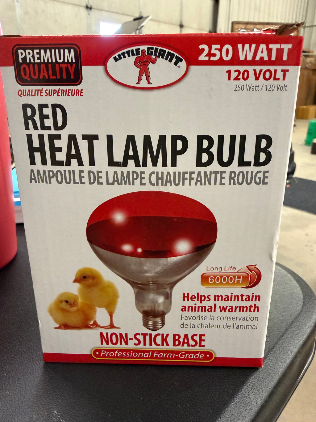 Little Giant Red Bulb
