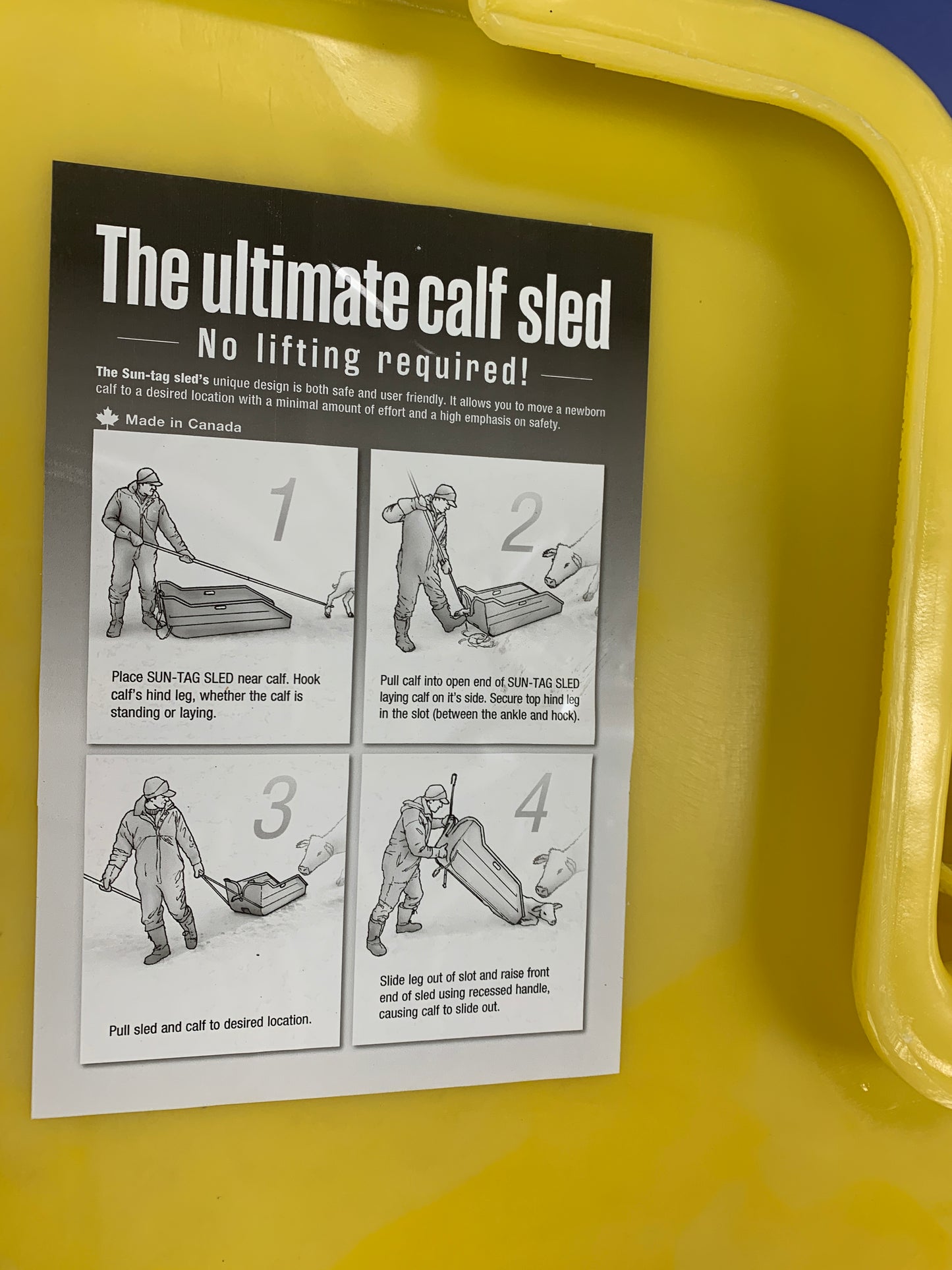 Calf Sled