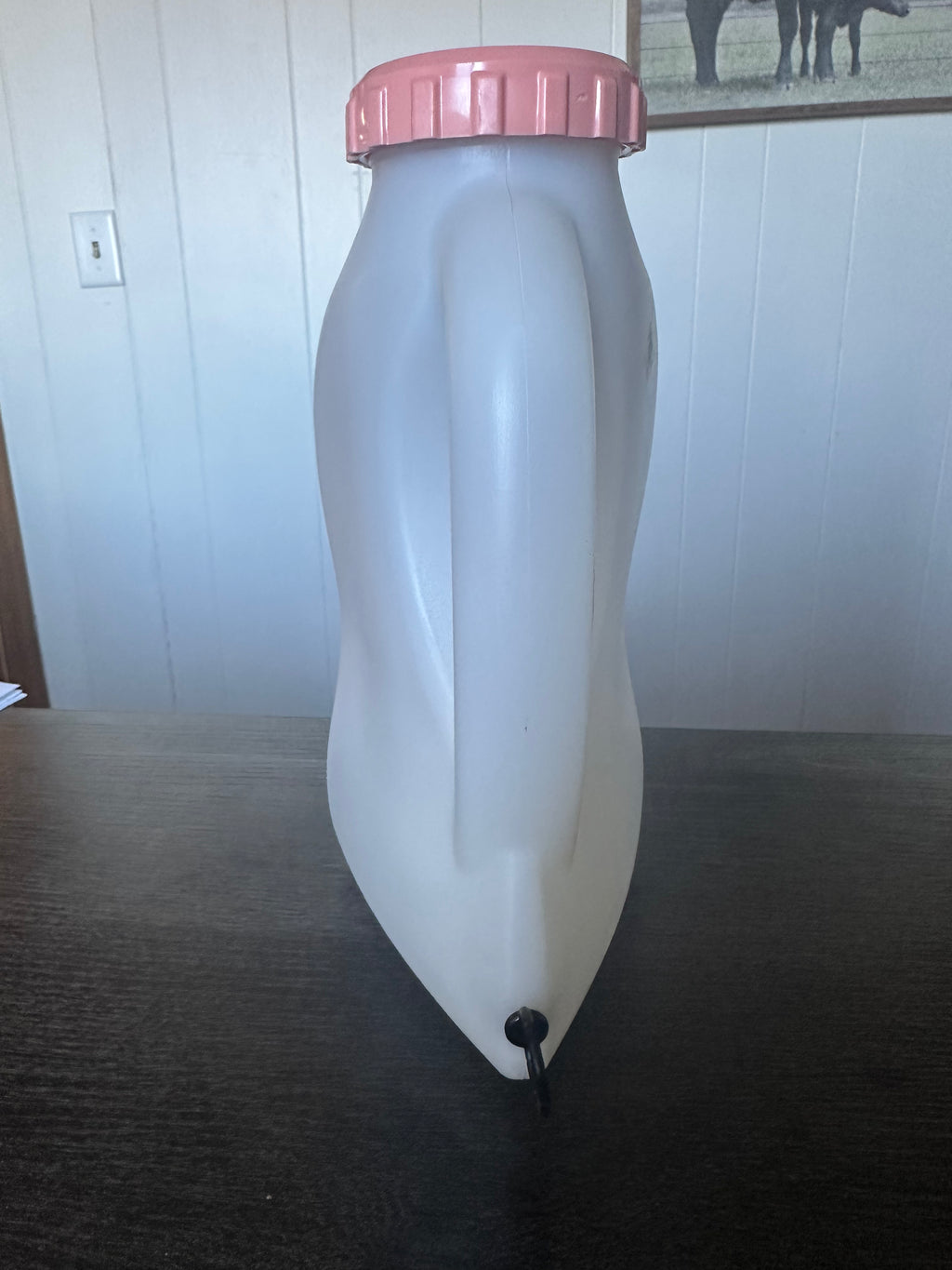 Pink Feeder Bottle with Handle - 2QT