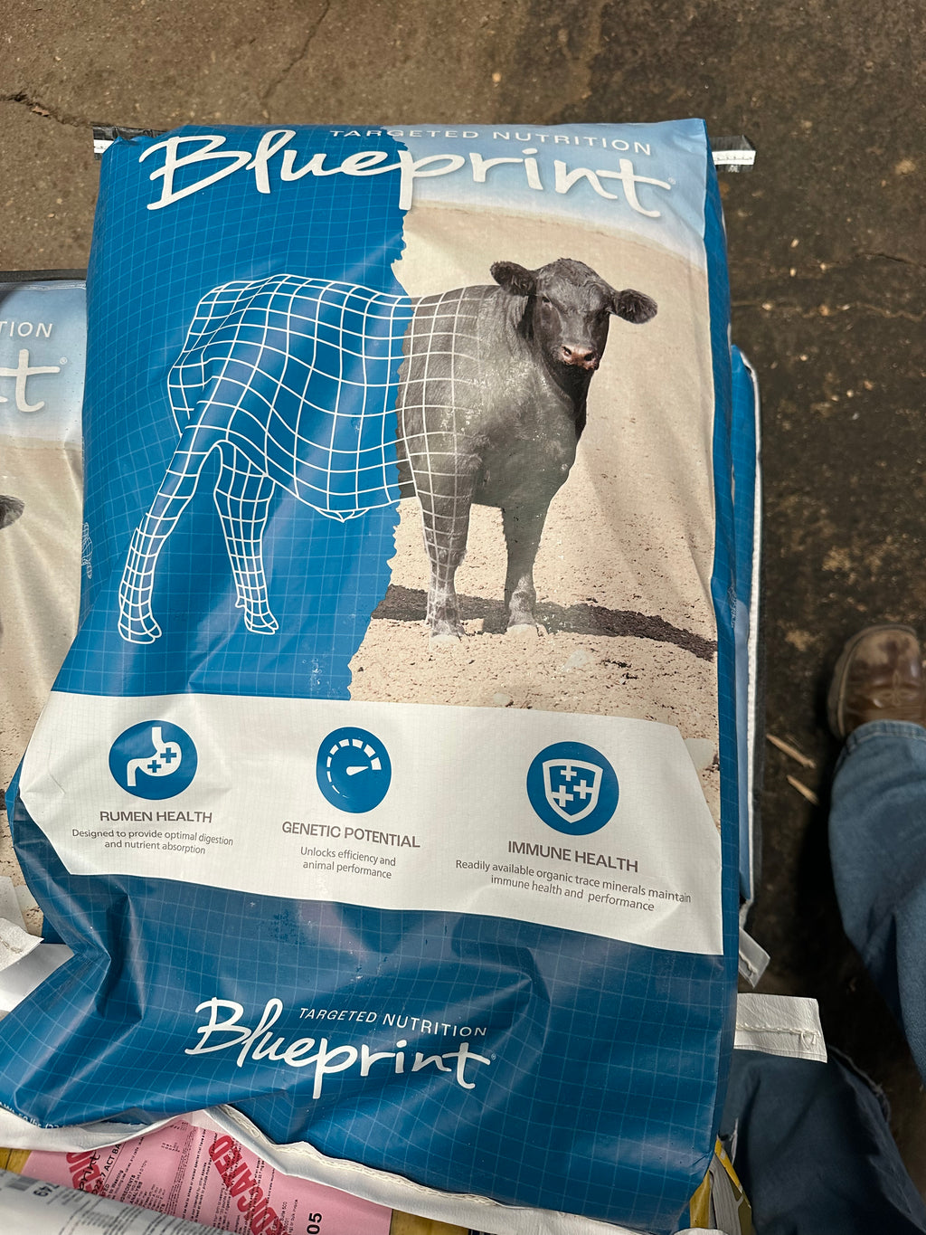 Blueprint Energy-Up 16 D22.7