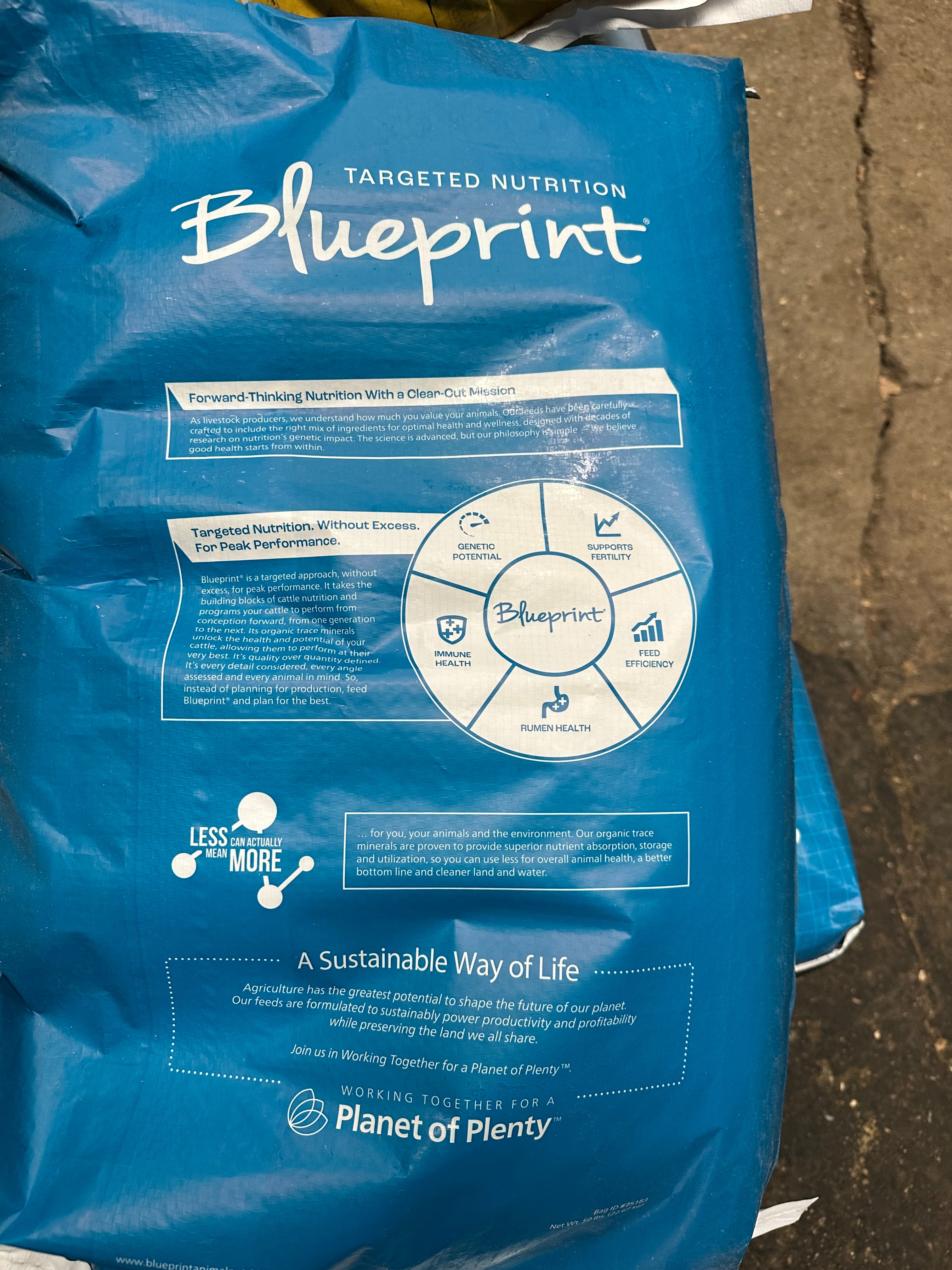 Blueprint Energy-Up 16 D22.7