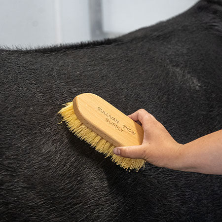 Sullivan Medium Rice Root Brush