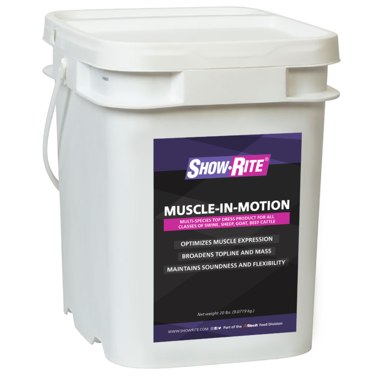 Show-Rite Muscle-In-Motion Top Dress