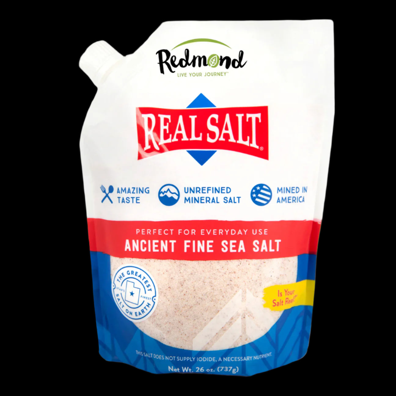 Real Salt Plain Salt
