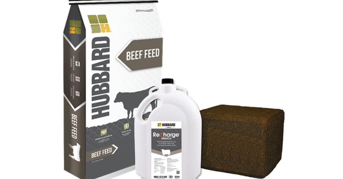 Hubbard Recharge 0.5 Pellet