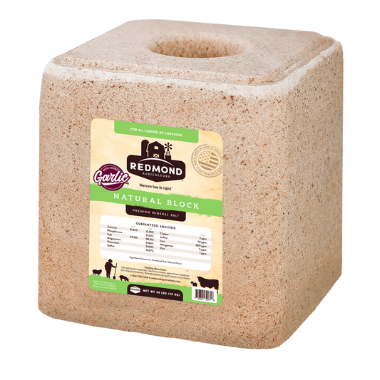 Redmond Salt Natural Block with Garlic