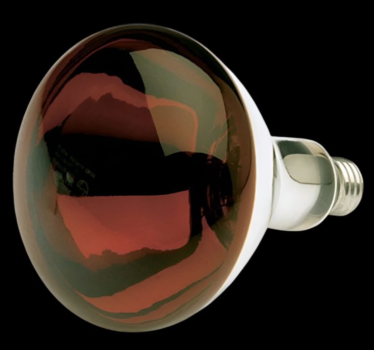 Satco Red Heat Lamp Bulb - 250 Watt - R40