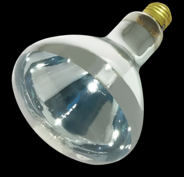 Satco Clear Heat Lamp Bulb - 125 Watt - BR40