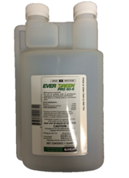 Evergreen Pro 60-6