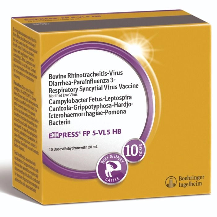 Express FP 5 VL5 HB