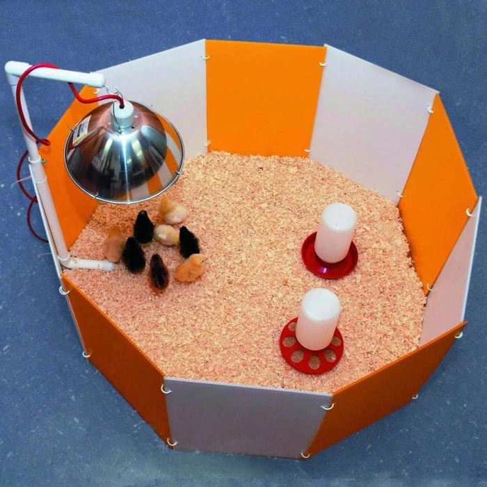 Baby Chick Starter Home Kit With Adjustable Lamp Hanger