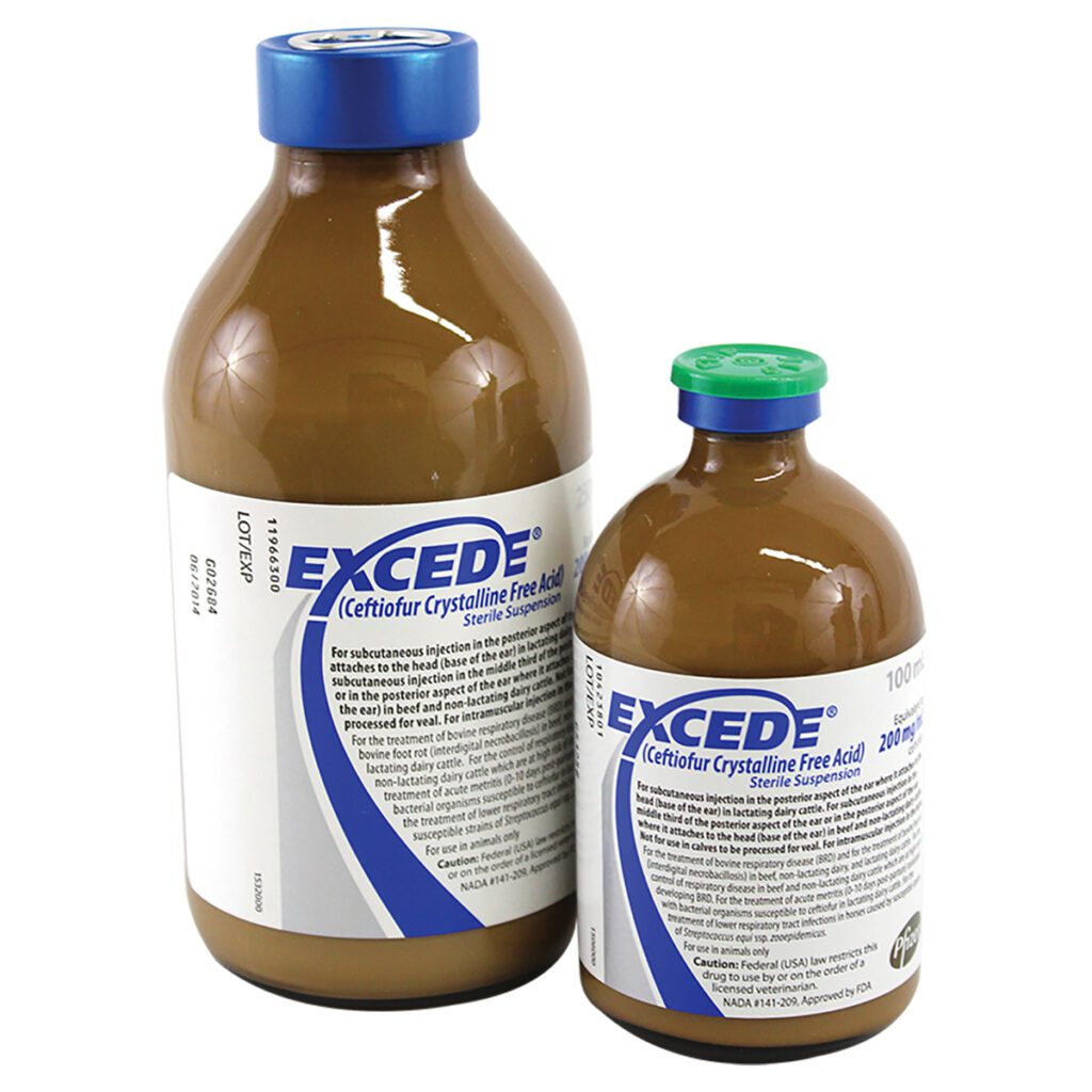 Excede - 100ML - RX (Copy)