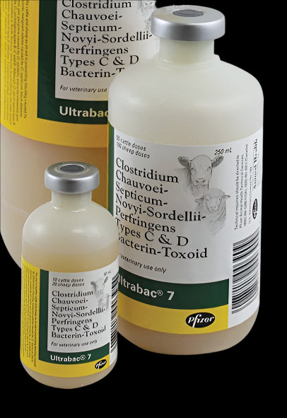 Ultrabac 7