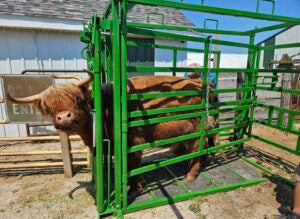 Real Tuff Maternity Pen w/ Head Gate