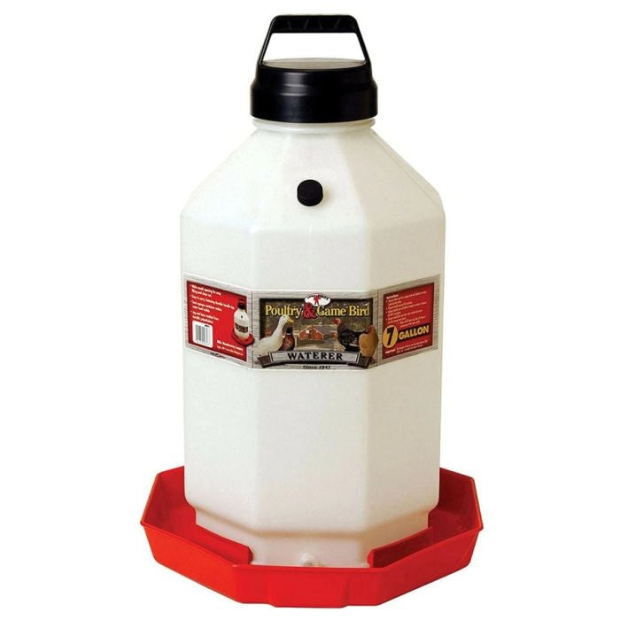 Little Giant Plastic Poultry Waterer - 7 Gal